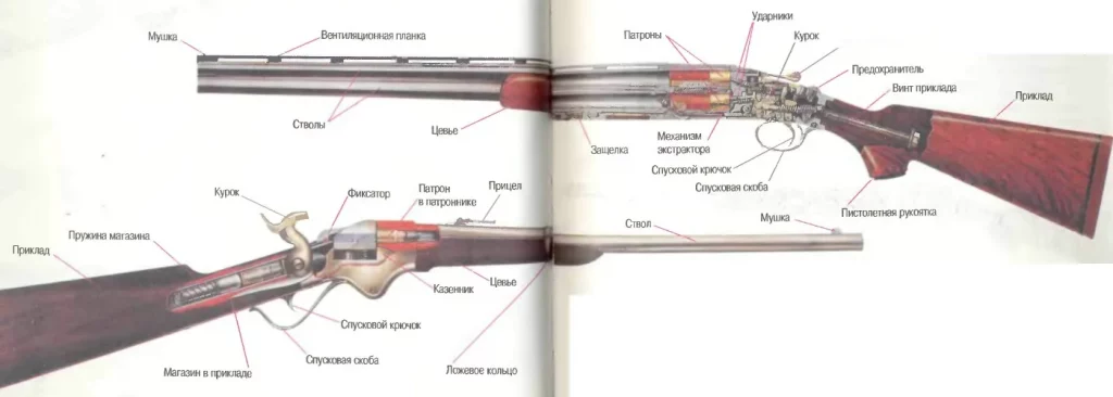 Устройство винтовки и дробового ружья - схема, чертеж